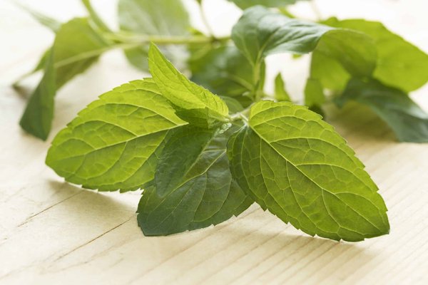 Le chocolat : un allié inattendu pour votre beauté et bien-être